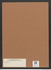 Navicula sp. (de-Toni-Nr.: Genus 1) Zeichnungen Sammlung Grunow Mappe 00629 (Herbarium_W_Grunow_drawings_Folder_00629)